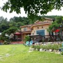 비단향꽃수 이미지