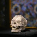 현대미술관 | 데이미언 허스트 전시 국립현대미술관 서울 후기