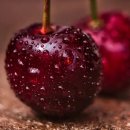 인화여자고등학교 이미지