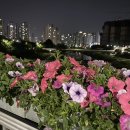 대림대학교(교직원식당) | [예비사서] 6. 대림대 평교원 1학기 끝낸 사람의 소소한 꿀팁