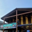 팔영산치유