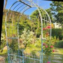 라비드 포레 이미지