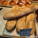 빵나무 이야기 이미지