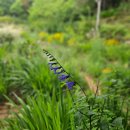 초이지아 | 하동펜션 '초이지아' 조용한 여름 여행의 숙소 후기