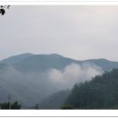 텃밭식당 이미지