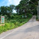 장성시내길 | [장성펜션] [장성단체펜션] 홍길동건강펜션 방문 후기