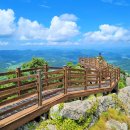 *출발취소* [울산안내산악회] 5월1일(근로자의날) 전남 화순 백아산 철쭉 산행 블랙야크 100+ 명산 [28인승리무진] 이미지