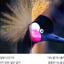 엘지슈퍼 이미지