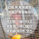 인성2농장 | 강릉 옥계 &lt;쌍둥이 동물농장&gt; 아이랑 체험 가족나들이 애견동반 동물원 놀거리 가볼만한곳