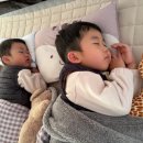 진천명품 휴미락캠핑장 이미지