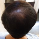 모힐의원 이미지