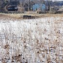 일오농장 이미지