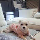 보듬보듬 이미지