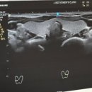 제이산부인과의원 이미지