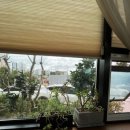 신선로 447번길 이미지