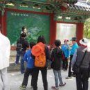 예산군 버스투어 이미지