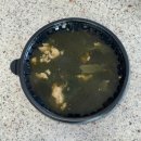 맛뜨락 | [강릉 꼬막비빔밥] 도민들이 인정한 강릉 로컬 꼬막비빔밥 맛집 풍호맛뜨락 포장후기🥄