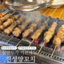 진성양꼬치 네이버블로그
