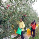 축산마을농장 이미지