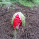 신동환병원 이미지