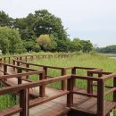 스타벅스충주호암DT점 이미지