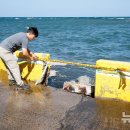 외도동 주민센터 이미지