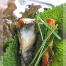 장수장어 이미지