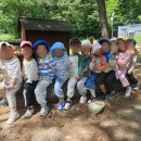 제이엠유치원 이미지