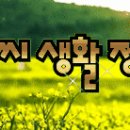 [2024년 7월 06(음력 6월 01일.辛未)][토요일]-복표 이미지