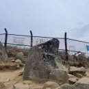4월 20일 금요무박 - 부산 장산(명산플러스) +해파랑길 1구간 이기대길 트레킹 안내 및 신청하기 이미지