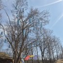 코스트팜아울렛