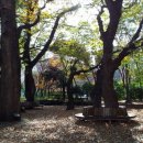 내서 삼풍대공원 이미지