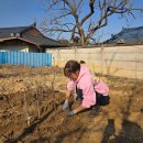 도형농장 | 독학으로 준비하는 조경기능사 실기시험 합격후기