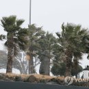 제주 와싱톤 이미지
