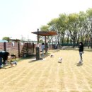 장자호수공원(반려견놀이터) 이미지