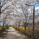 비슬로262길 이미지