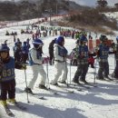 선도중학교 이미지