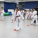 일동태권도장 네이버블로그