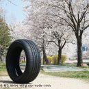 더타이어샵 고잔점 이미지