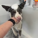 멍더랜드 이미지