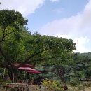 주주산방 | 원주 치악산 펜션 & 카페 I 주주산방 후기