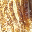 고래골농장 이미지