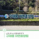 느티나무길 | 구재봉 자연휴양림 리모델링 완료! 느티나무·소나무동 방문 후기
