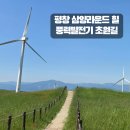 강원 평창 삼양라운드힐 풍력발전기 초원 셔틀버스 양몰이공연 후기