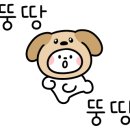 차오름 동물병원 이미지