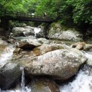 경남함양이은349 이미지