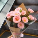 로앤산부인과의원 이미지