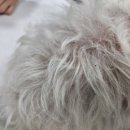 에바 가위컷 전문점 이미지