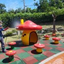 깨끗한세상 이미지