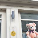 오브(oh’be) | 군산 영화동 신상카페 오브(Oh’be) 다녀온 후기, 애견동반 가능